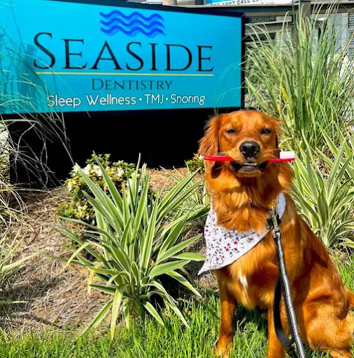 Seaside Dentistry 5 Seaside Dentistry